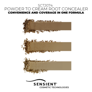Powder to Cream Root Concealer
