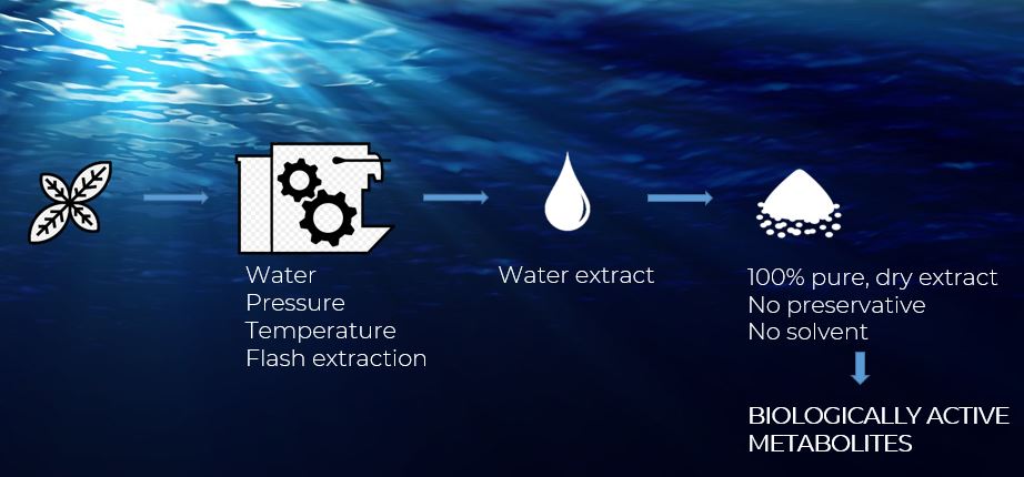 Natpure Xtra Extraction Process
